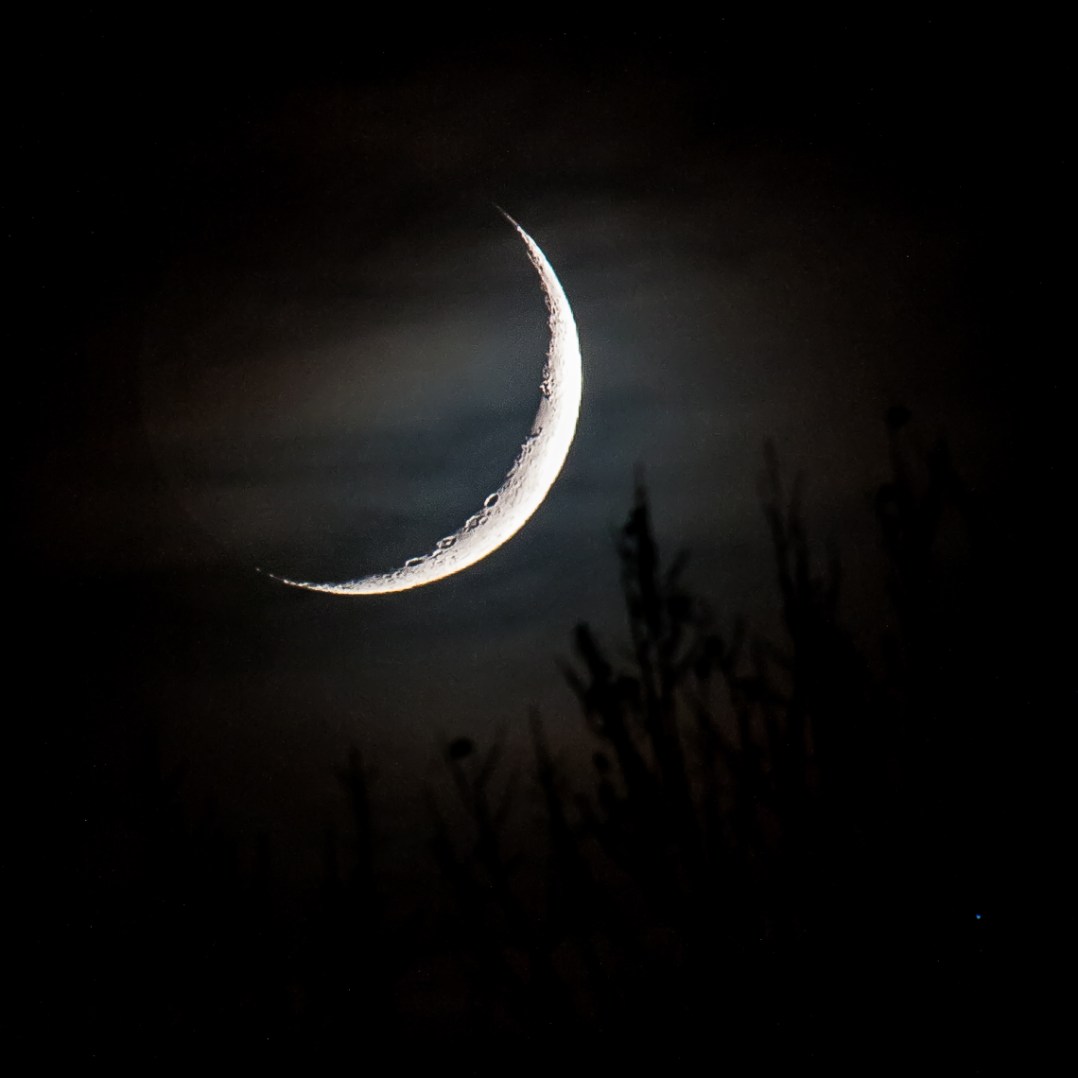 Crescent Moonset