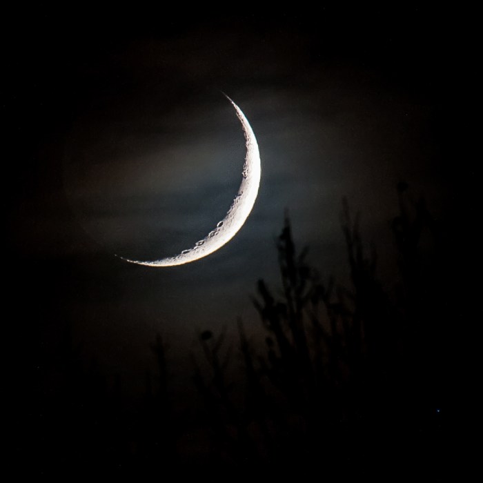 Crescent Moonset