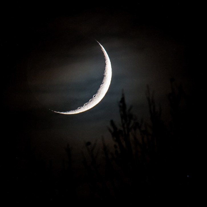 Crescent Moonset