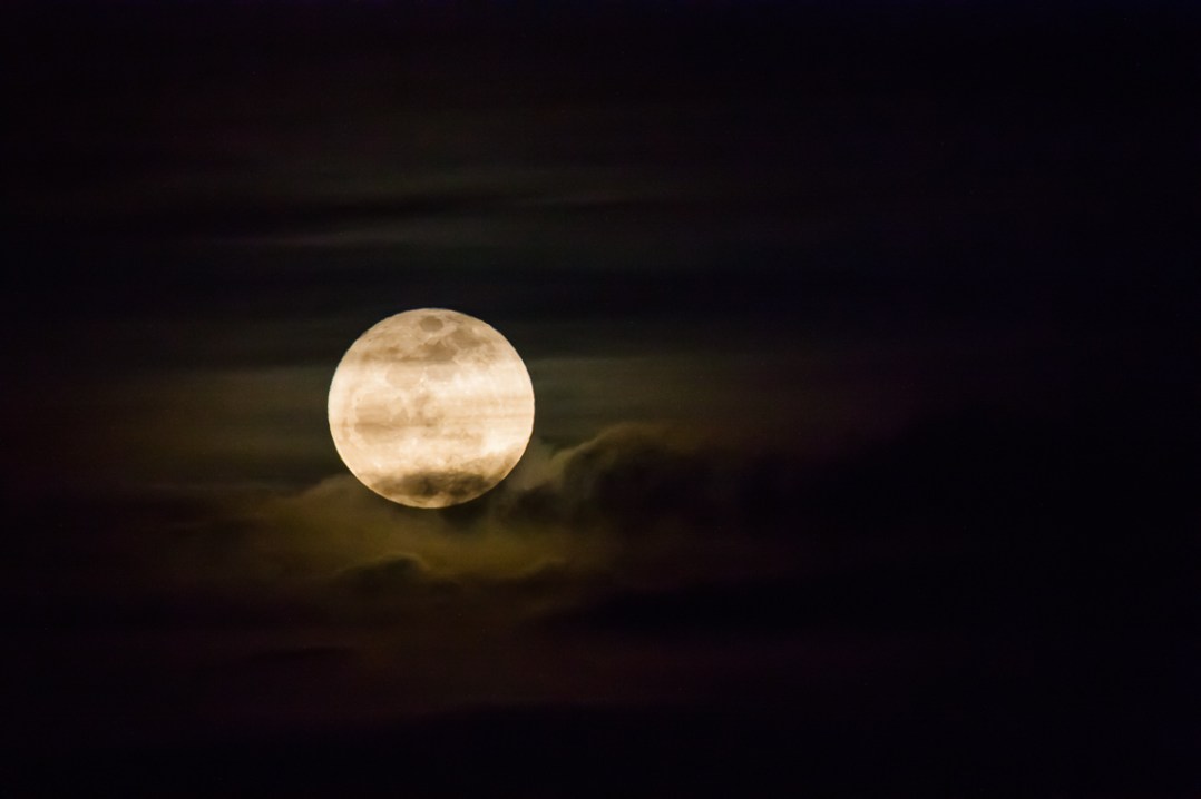 Superperigee Moonrise