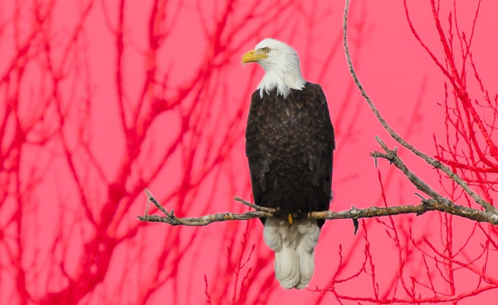 Quick Mask Feathered