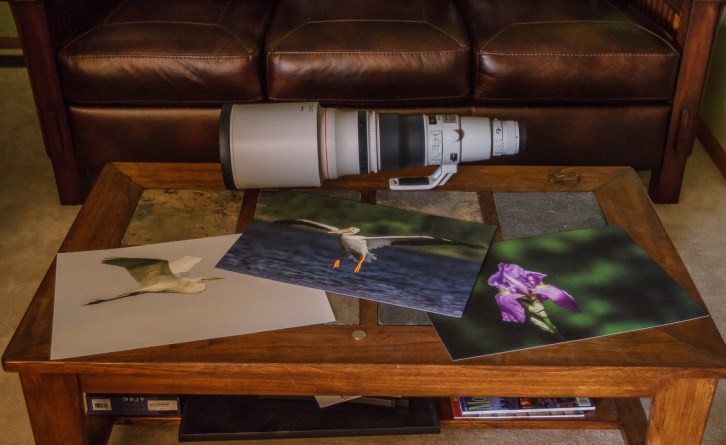 My New 600mm Lens (11 of 11)