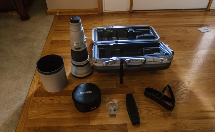 My New 600mm Lens (6 of 11)