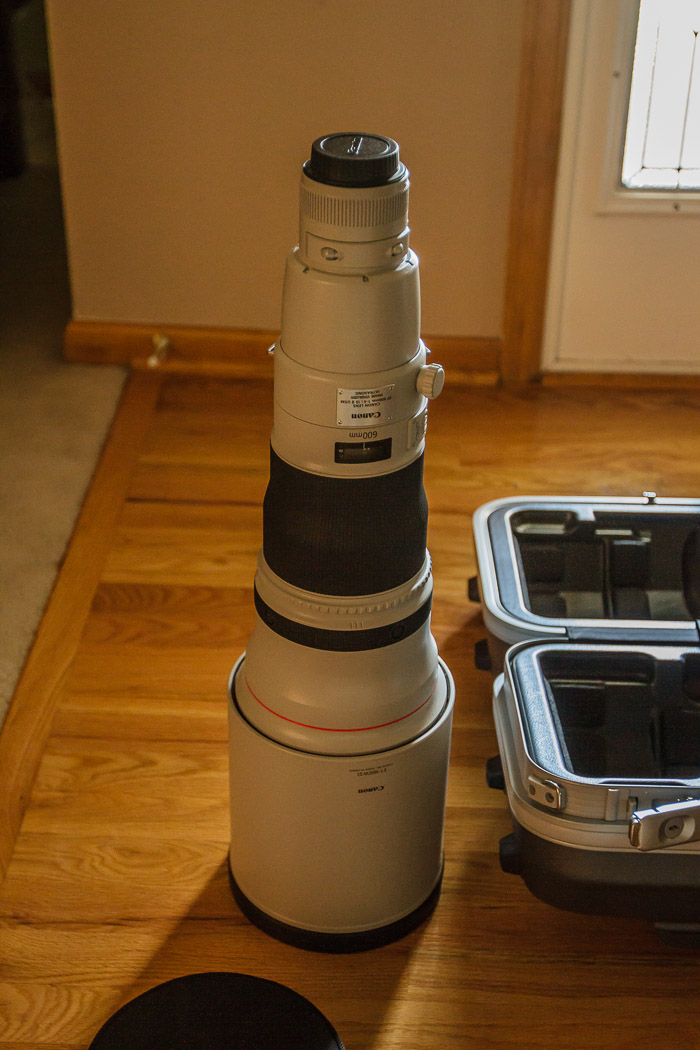My New 600mm Lens Upright