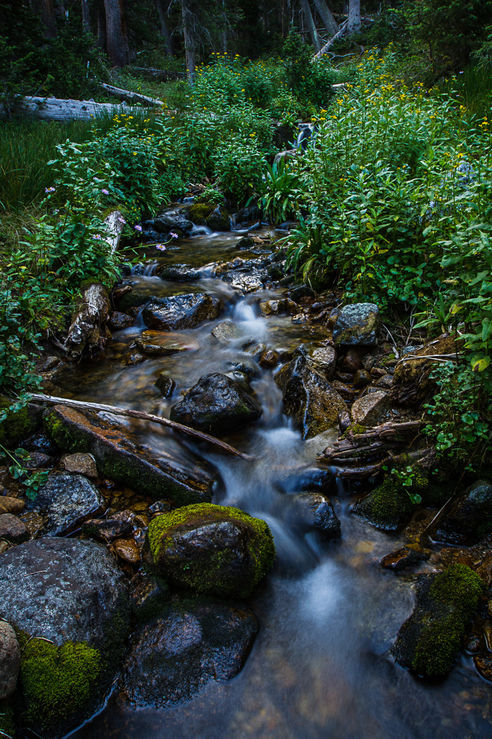 Cascading Creek Series (1 of 6)