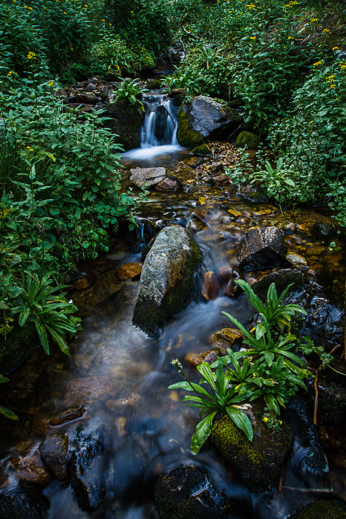 Cascading Creek Series (3 of 6)