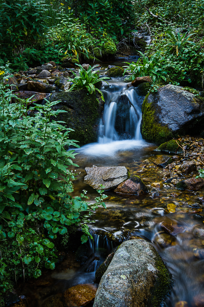 Cascading Creek Series (4 of 6)