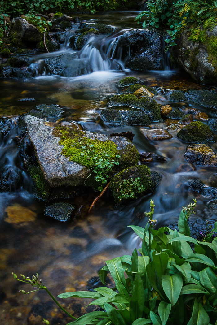 Cascading Creek Series (6 of 6)