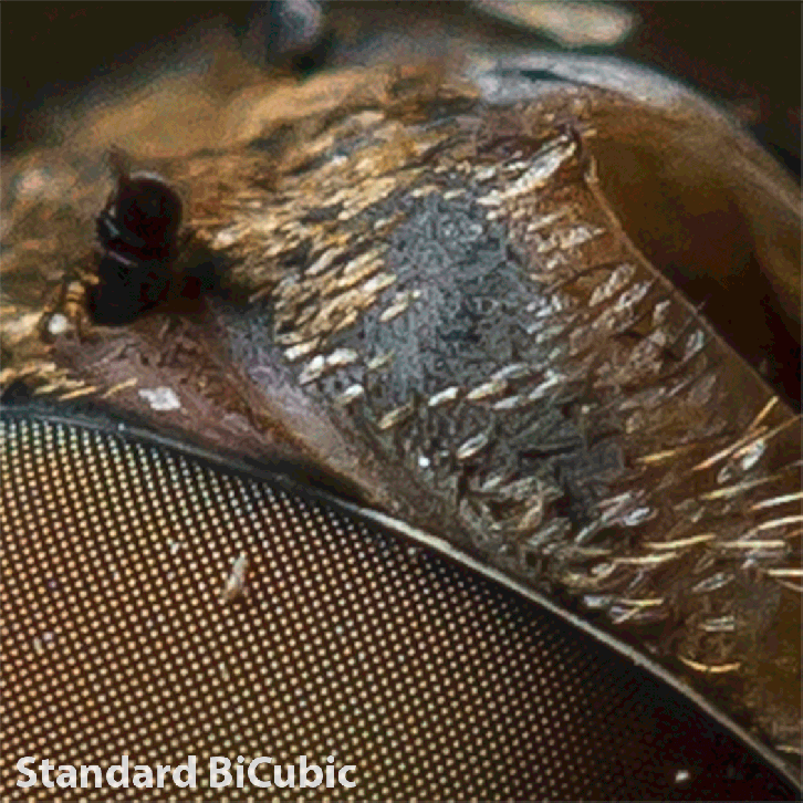 Extreme 300% Standard vs. Iterative vs. Sharpening