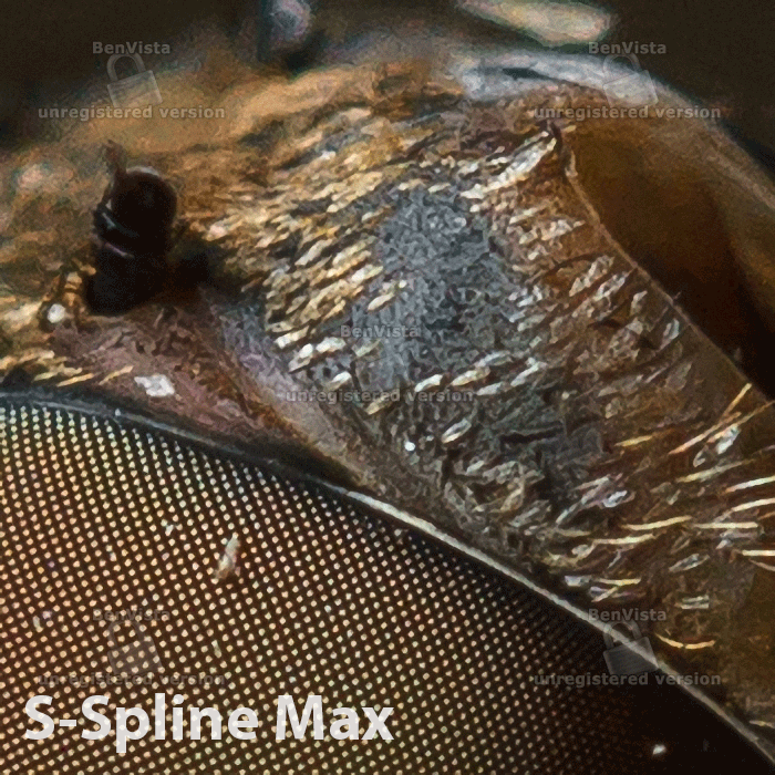 Spline vs. Fractal vs. Iterative