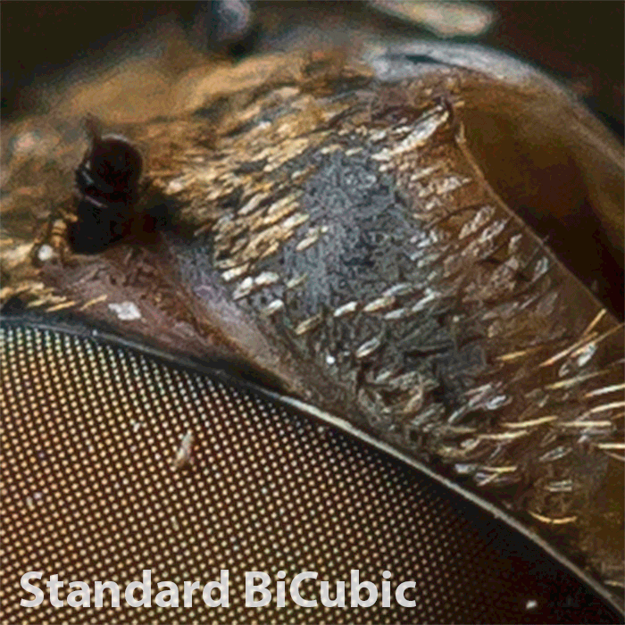 Standard, Iterative, Sharpened BiCubic