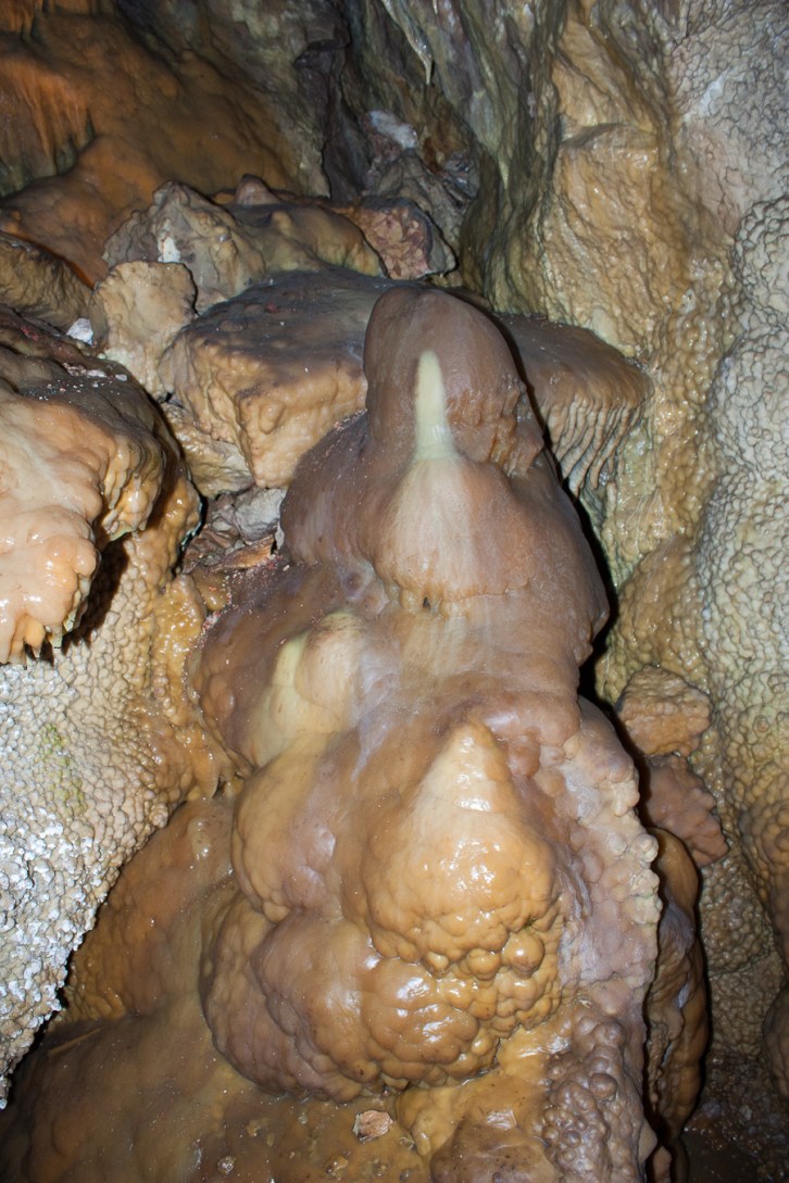 A rare Jewel Cave stalagmite, full of earthy color, surrounded by Dog's Tooth walls and a flow of formations.