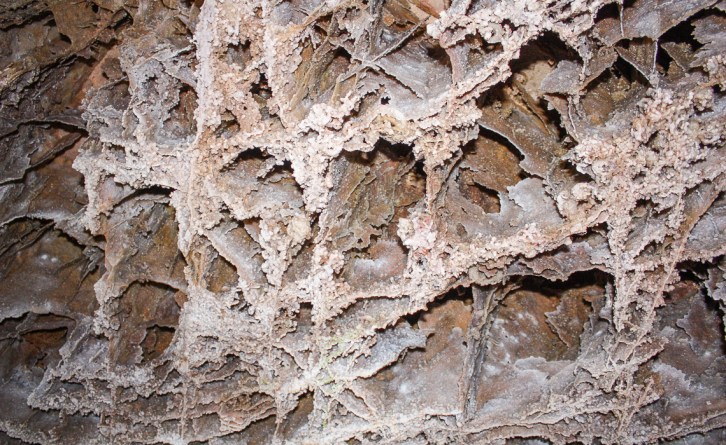 Boxite, a calcite remnant of a unique cave formation.