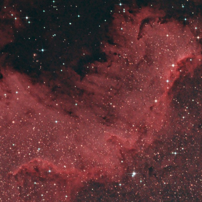 North American Nebula - Detail 1
