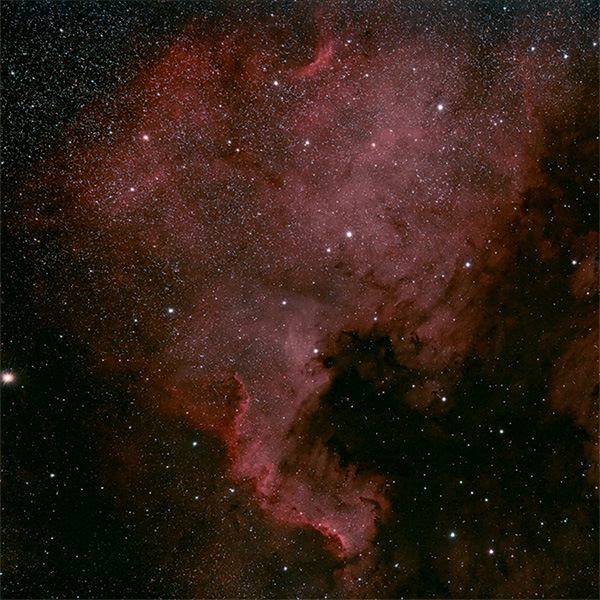 Cygnus - North America Nebula