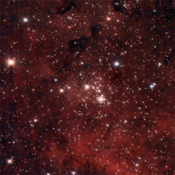 Cygnus - Sadr - NGC6910