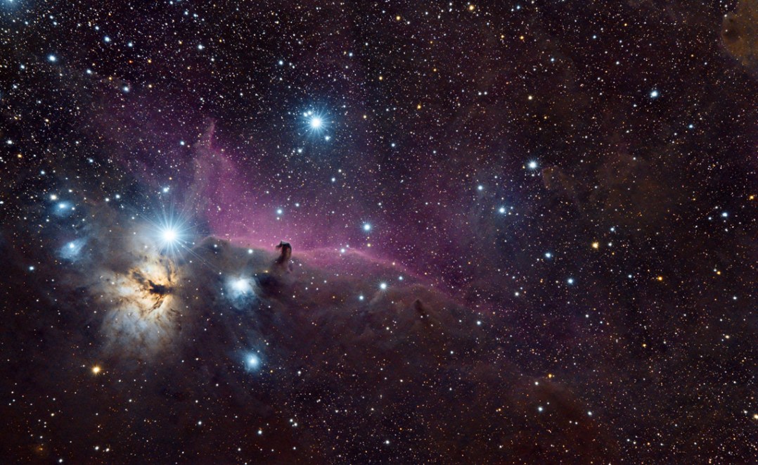 Horsehead and Flame Nebulas