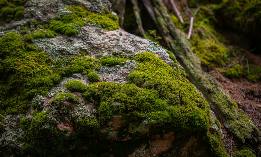 Hall Valley and the North Fork South Platte