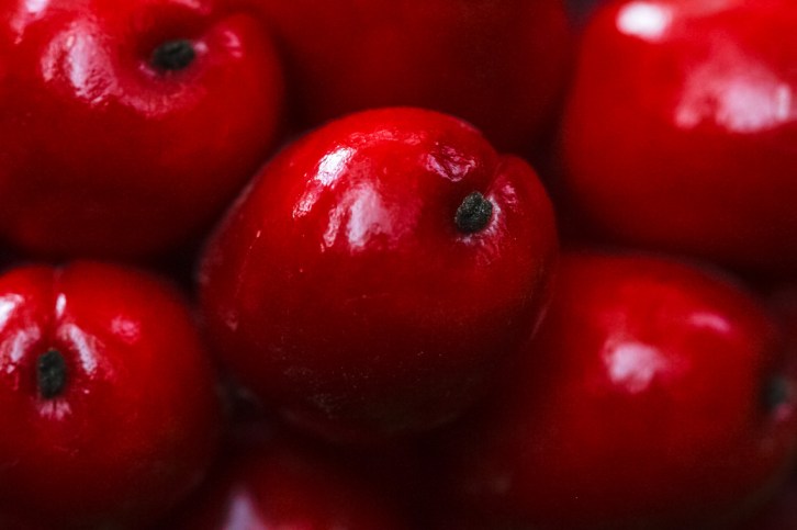 Hall Valley and the North Fork South Platte - Gallery Macros-15