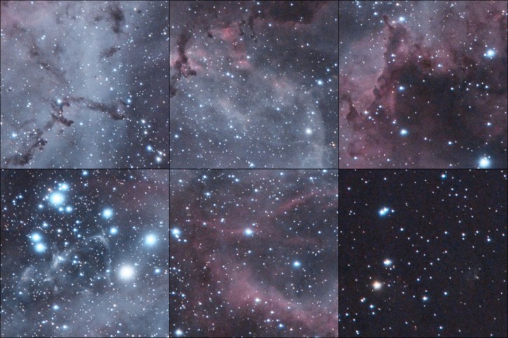 Rosette - "Natural Color" - Detail Crops